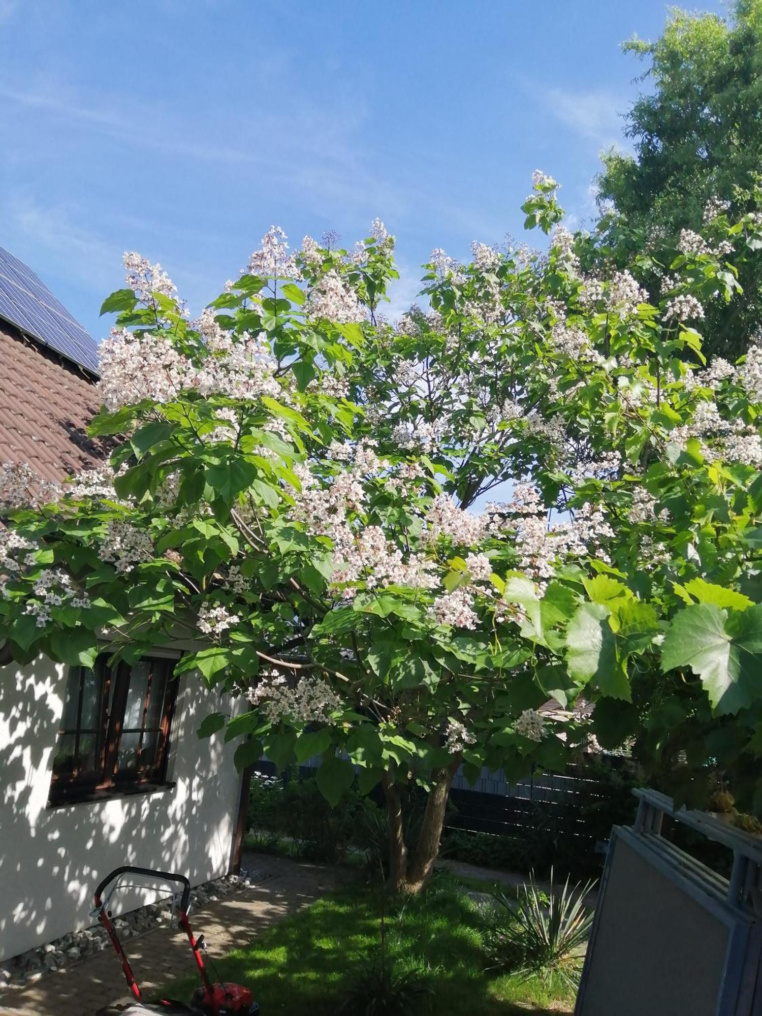 Appartement "Kleine Hedwig" à Putbus Extérieur photo